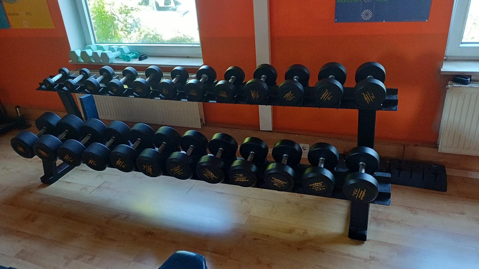 Kurzhantelreihe im Sportsclub Bovenden für strukturiertes Krafttraining